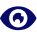 vision icon